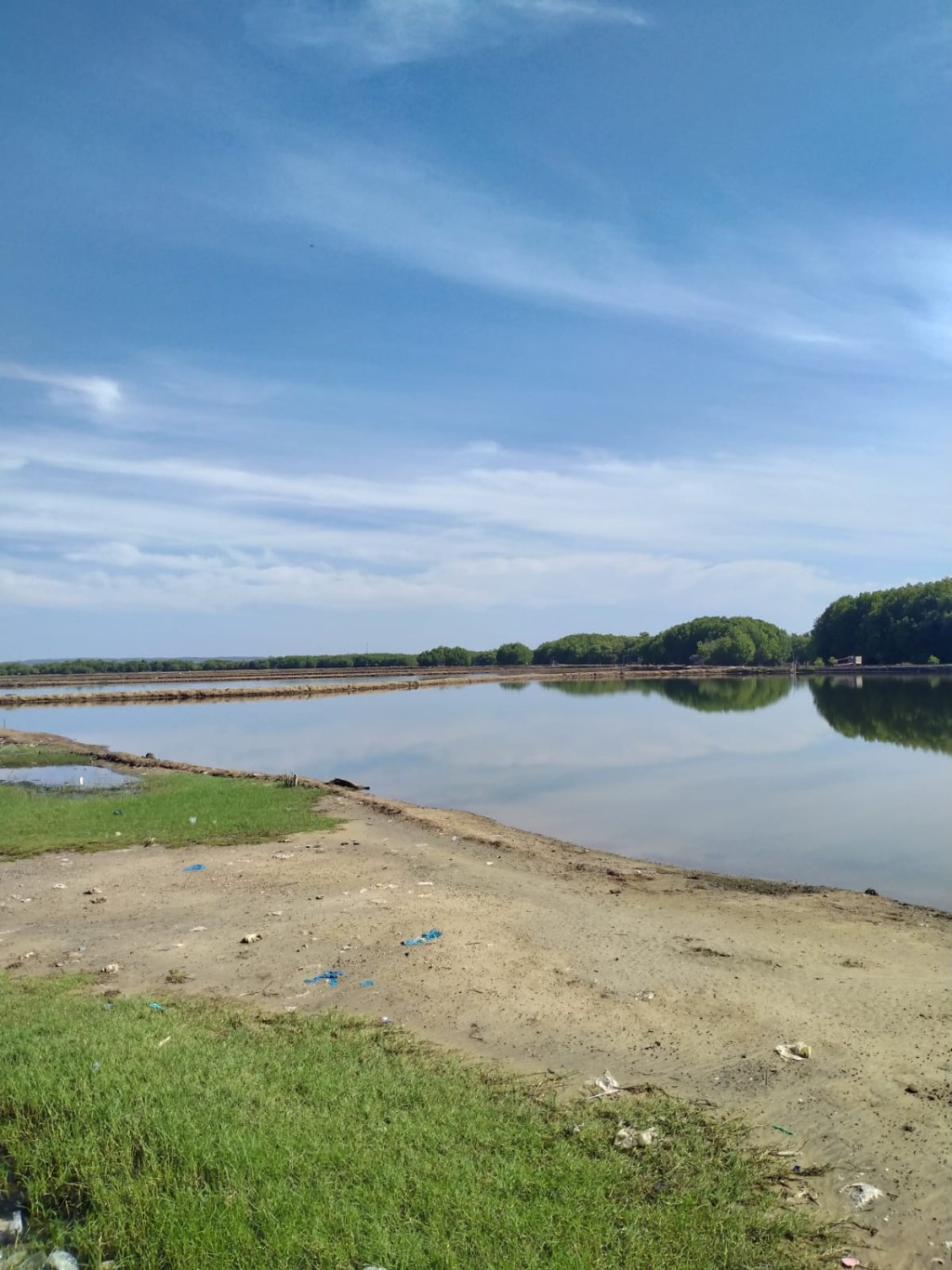 Tambak di Gampong Pulo Bubee